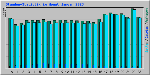 Stunden-Statistik im Monat Januar 2025