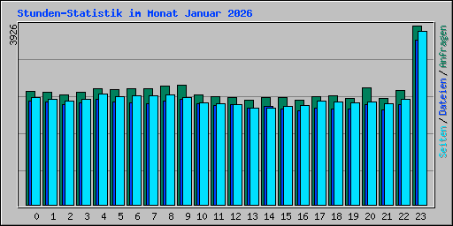 Stunden-Statistik im Monat Januar 2026